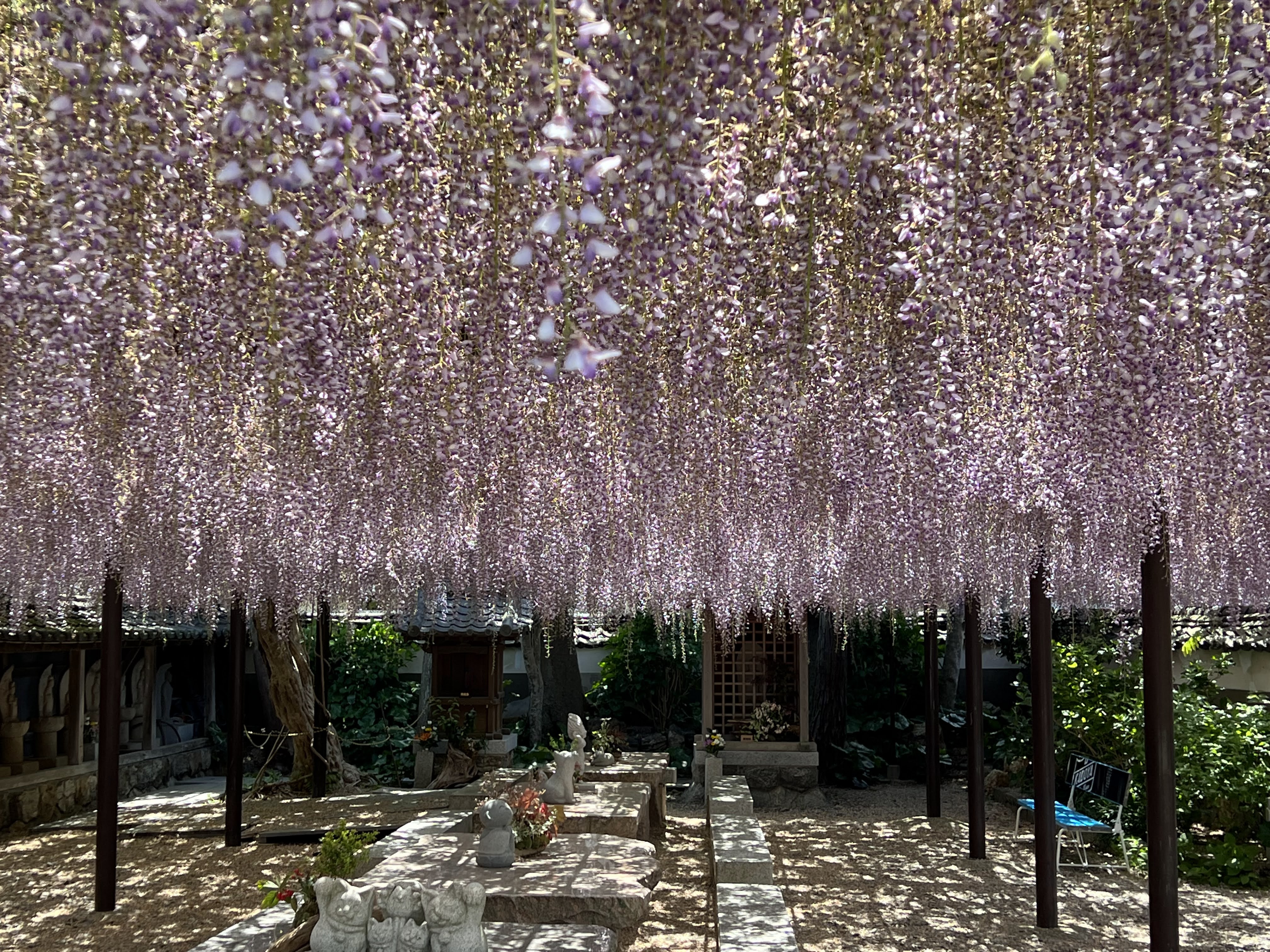 潮音寺