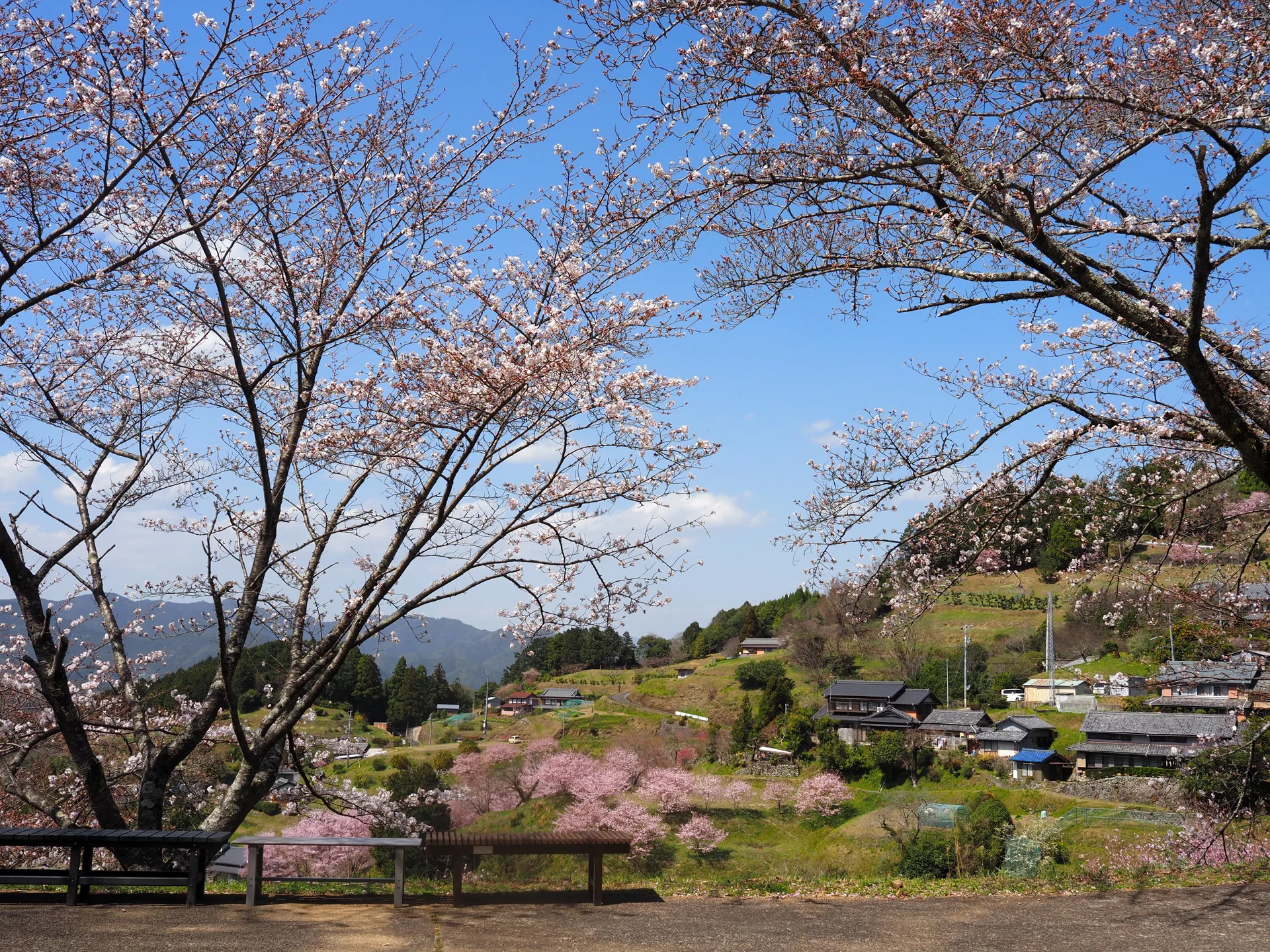 市川