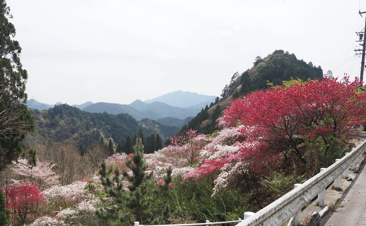 平山