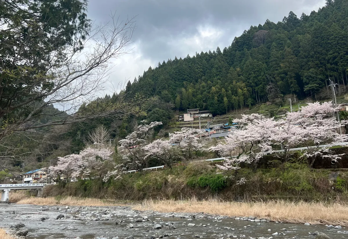 ライオンカフェ